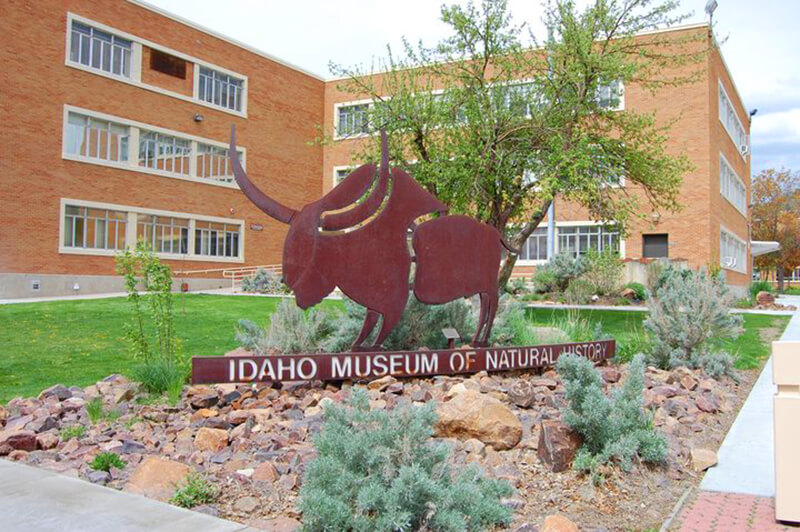 Idaho Museum of Natural History