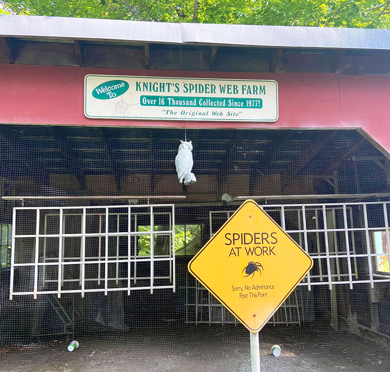 Knight's Spider Web Farm