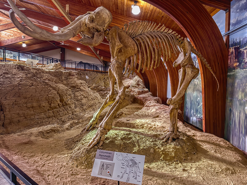 Mammoth Site