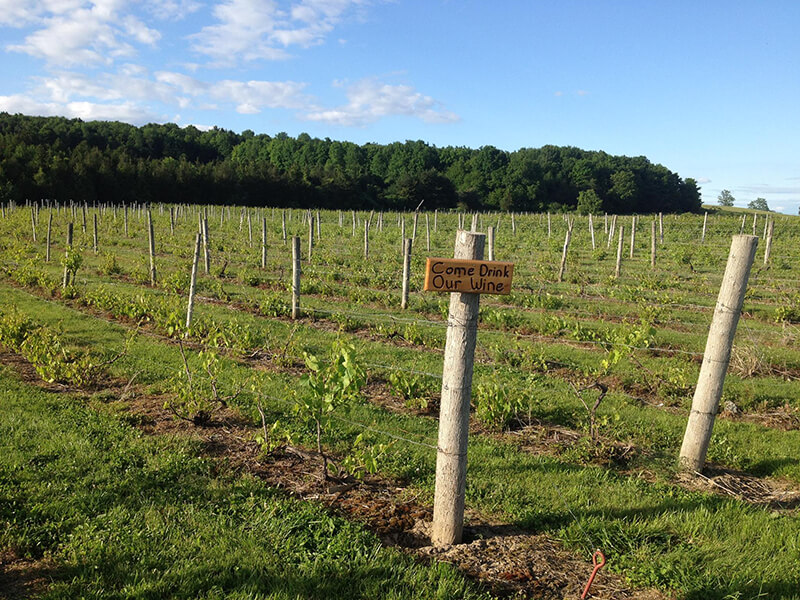 Snow Farm Vineyard & Winery