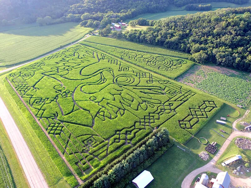 Treinen Farm Corn Maze and Pumpkin Patch