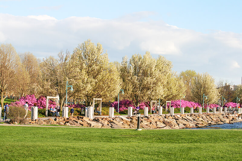 Waterfront Park