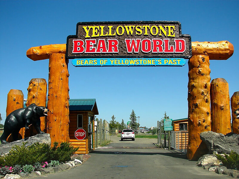 Yellowstone Bear World