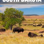 best things to do in South Dakota