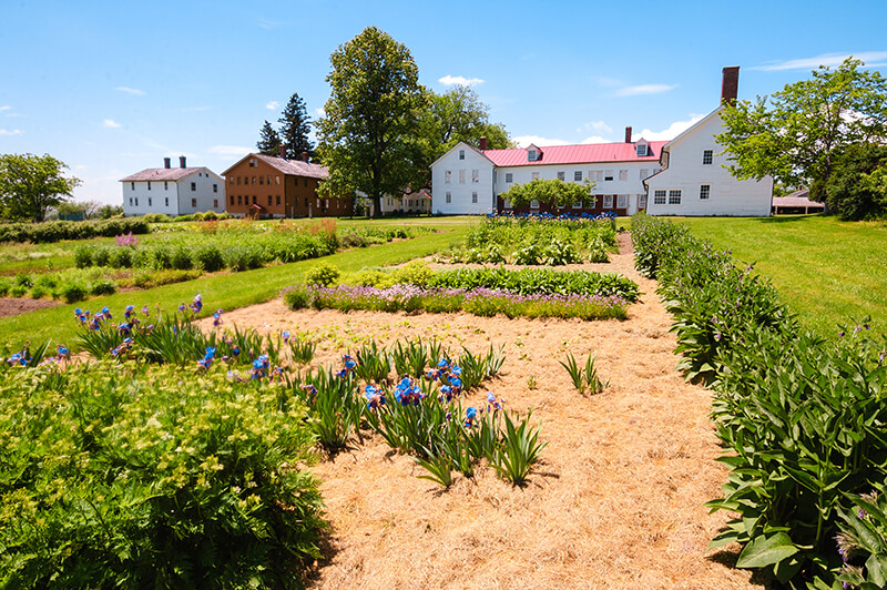 Canterbury Shaker Village