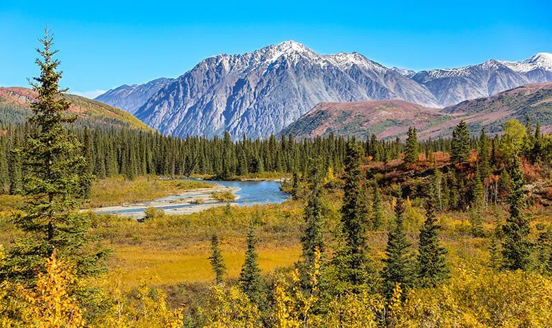 Denali National Park and Preserve