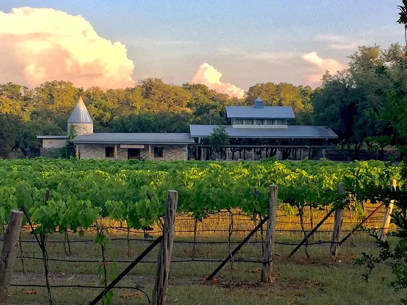 Dry Comal Creek Vineyards