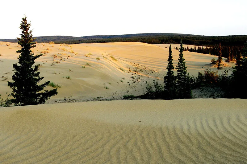 Great Kobuk Sand Dunes