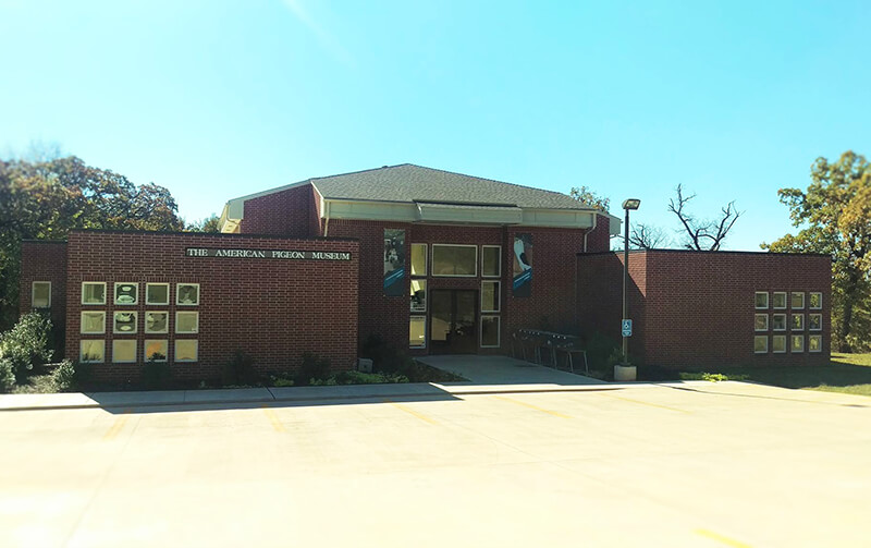 The American Pigeon Museum