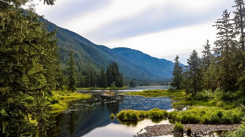 Tongass National Forest