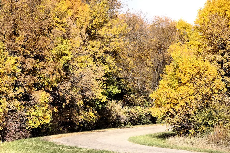 Big Creek State Park