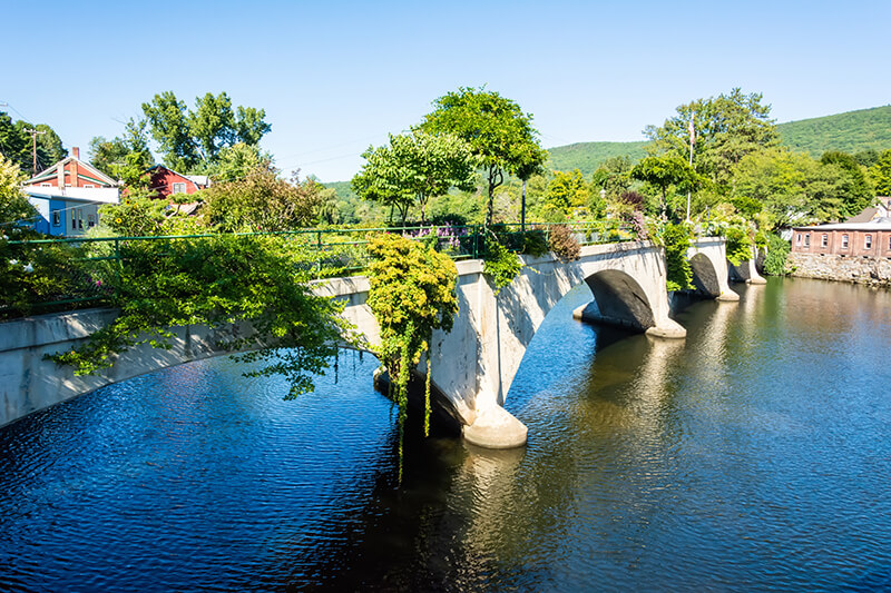 Bridge of Flowers