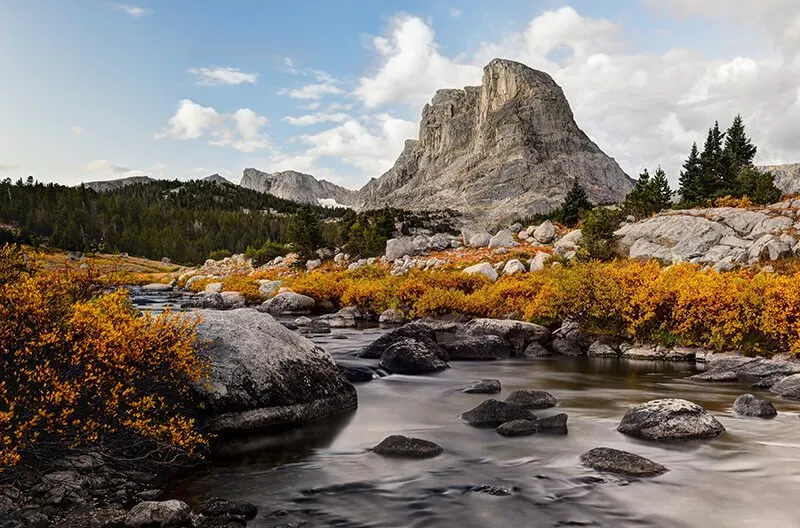 Bridger-Teton National Forest