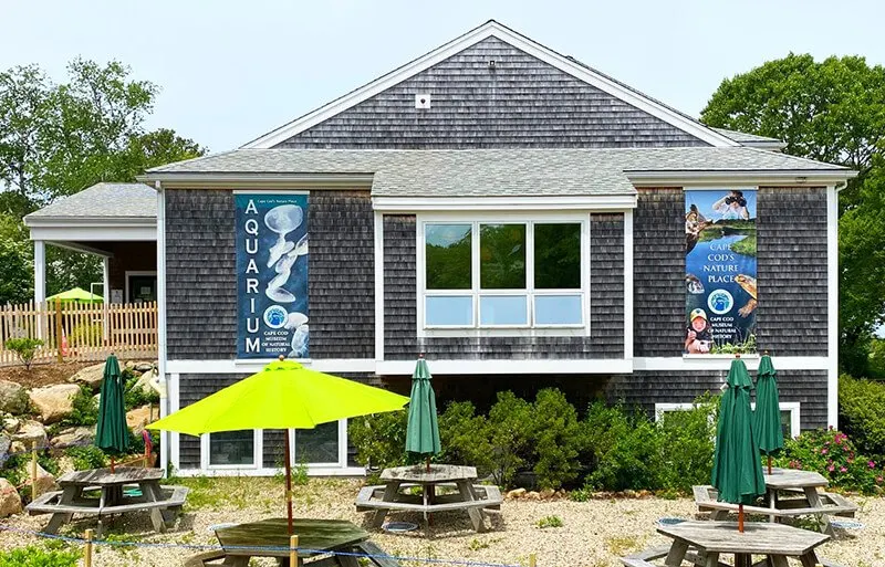 Cape Cod Museum of Natural History