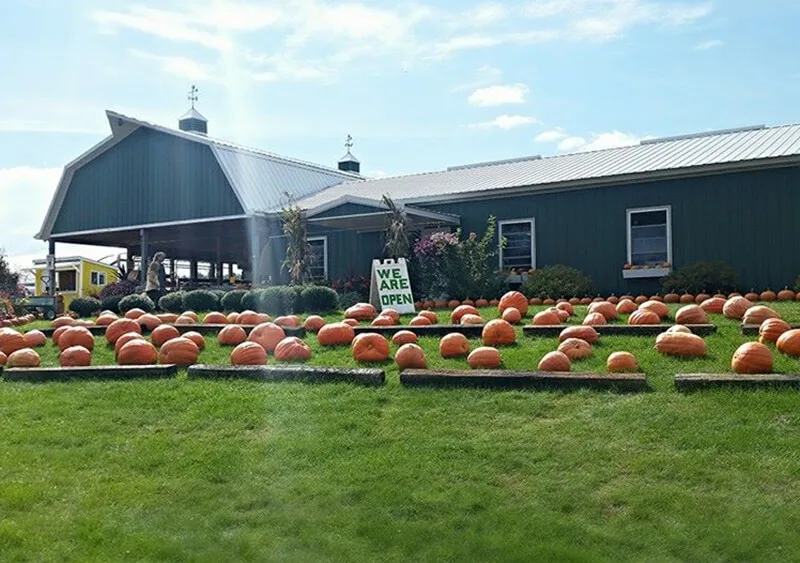 Country Bumpkin Farm Market