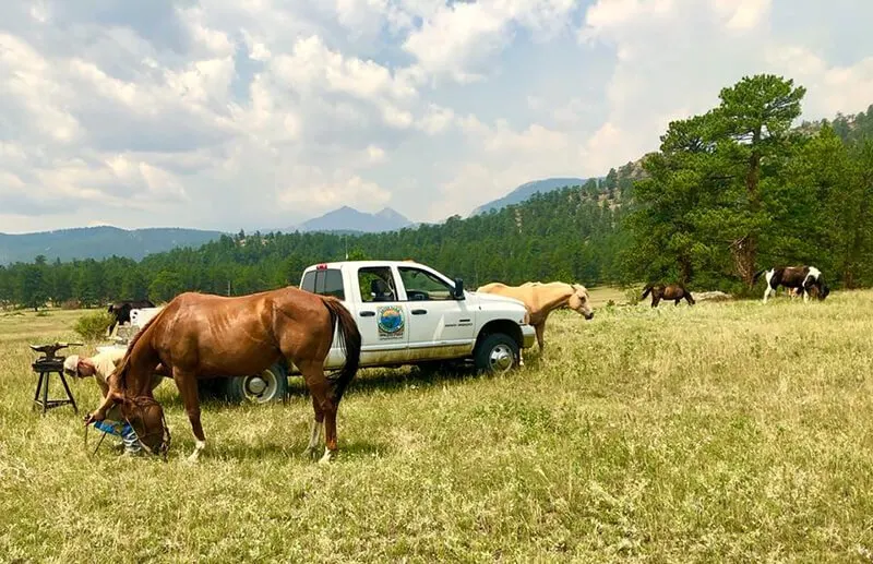 Estes Park Outfitters