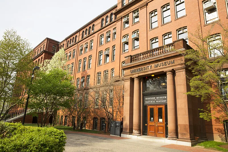 Harvard Museum of Natural History