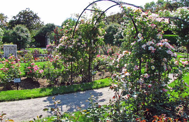 James P. Kelleher Rose Garden