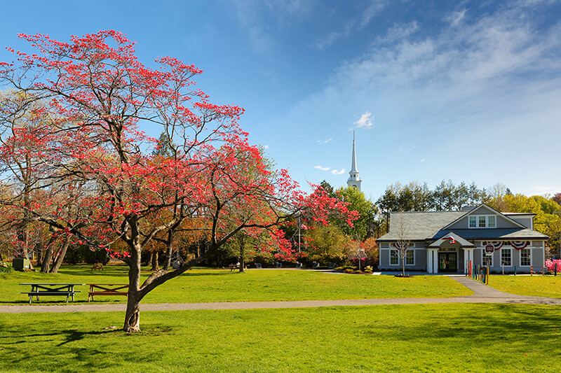 Lexington Common National Historic Site