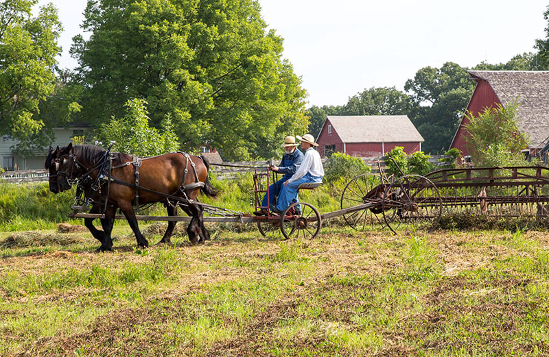 Living History Farms