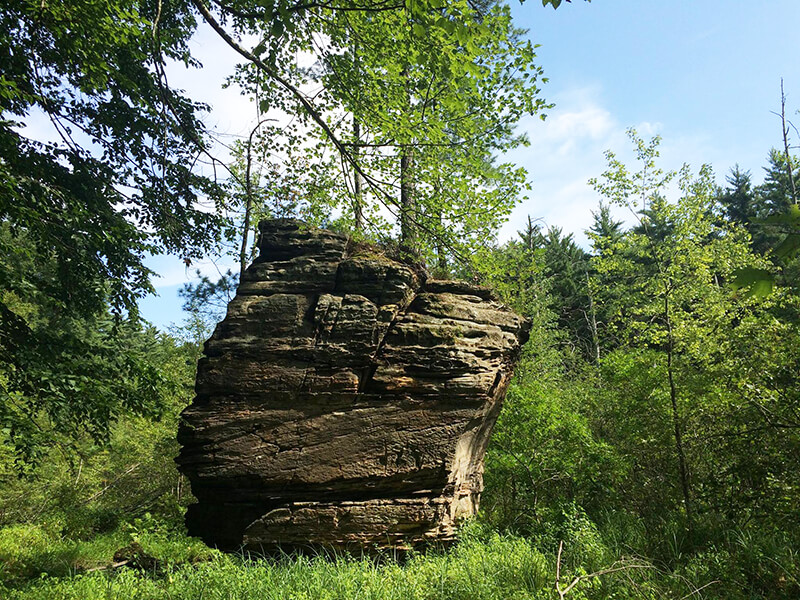 Rocky Arbor State Park