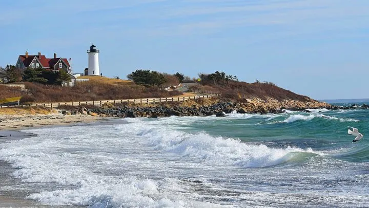 Things To Do In Cape Cod