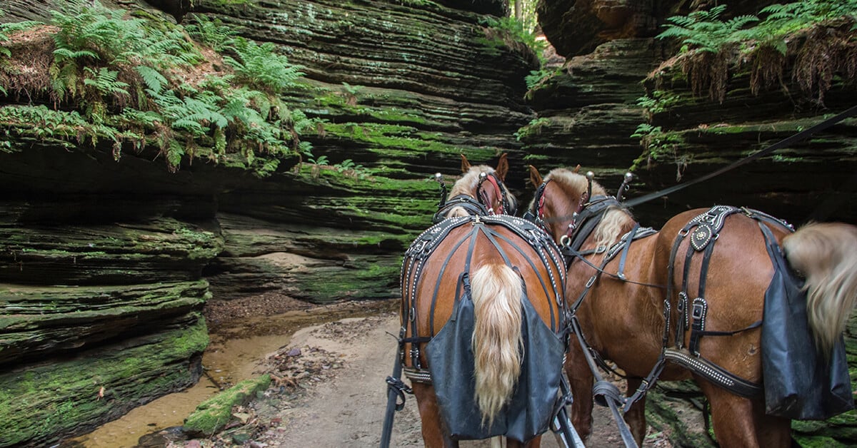 27 Fun Things To Do In Wisconsin Dells (WI) Attractions & Activities