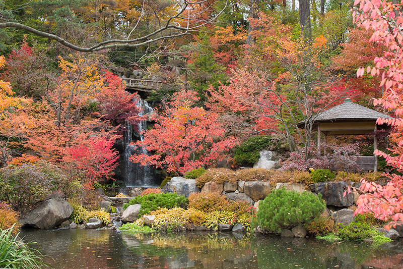 Anderson Japanese Gardens