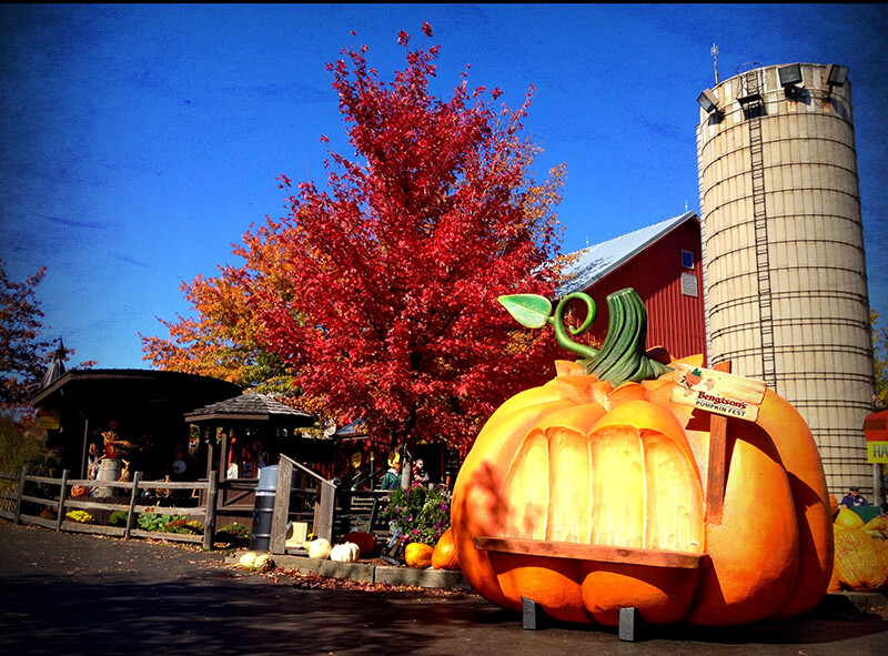 Bengtson's Pumpkin Farm