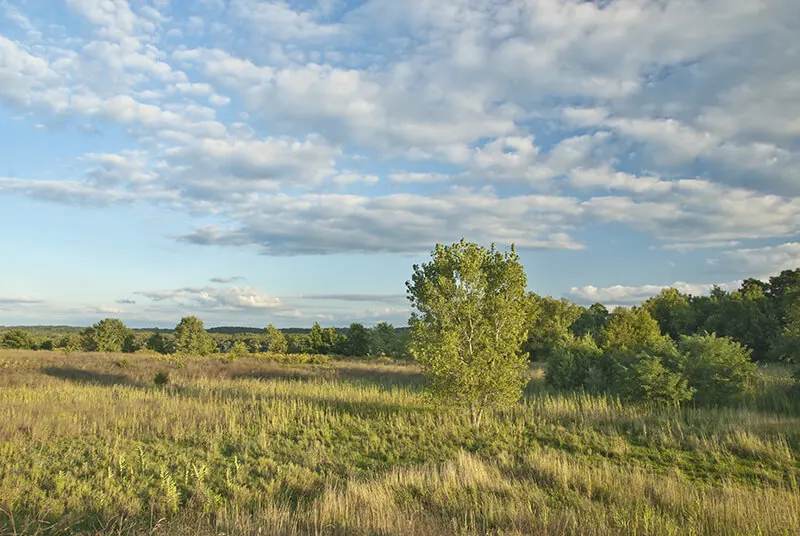 Buffalo Rock State Park