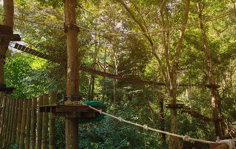 Go Ape Zipline and Adventure Park