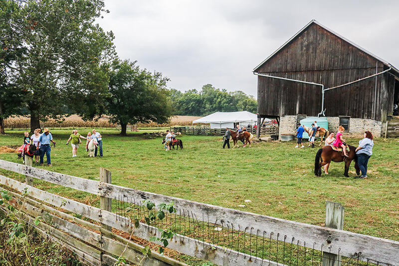 Learning Tree Farm