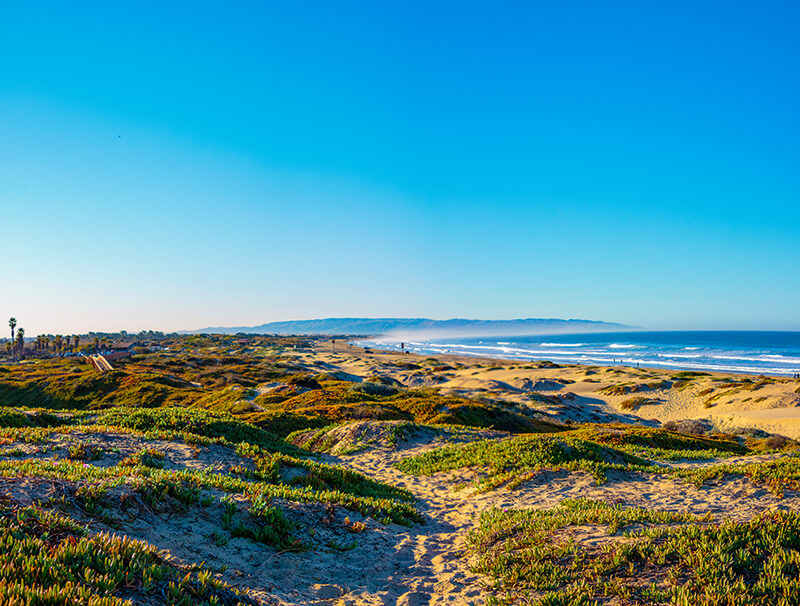 North Beach Campground