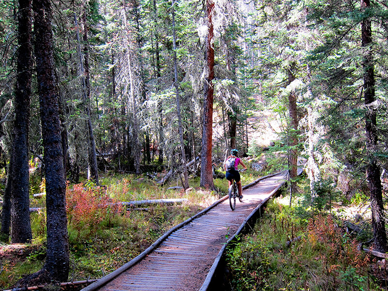 Peaks Trail