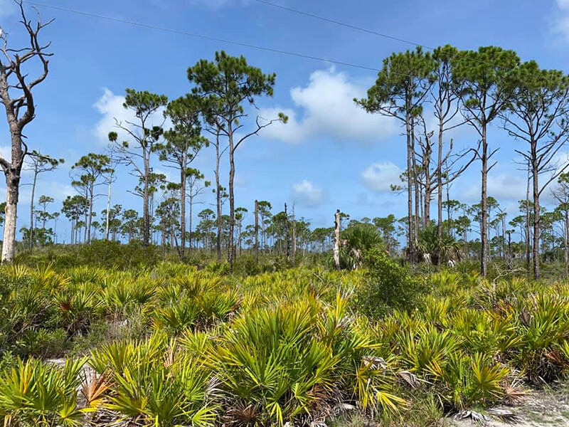 Rookery Bay National Estuarine Research Reserve