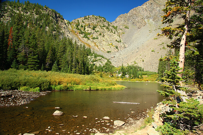 Spruce Creek Trail