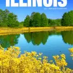 best things to do in Illinois