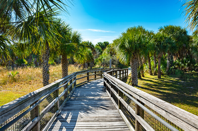  Caladesi Island Delstatspark