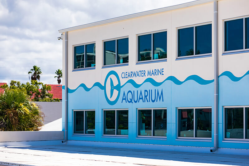  Clearwater Marine Aquarium