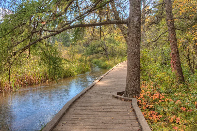 Itasca State Park