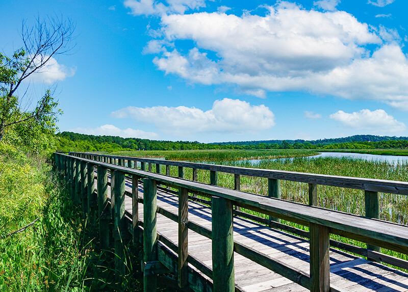 Meaher State Park