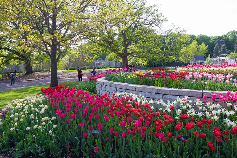 Minnesota Landscape Arboretum