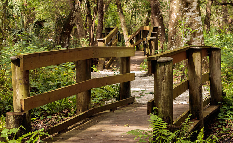  Parque Natural del Lago Moccasin