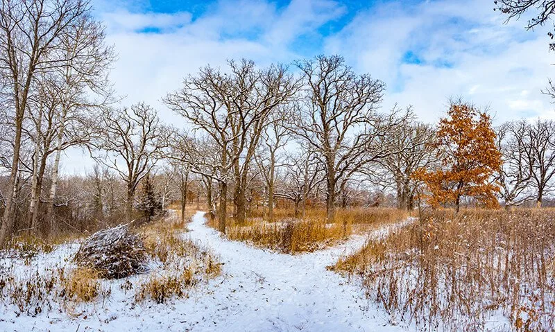 Quarry Hill Nature Center