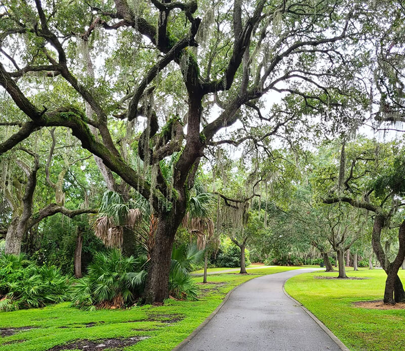 Risma Wilson Clearwater Trail