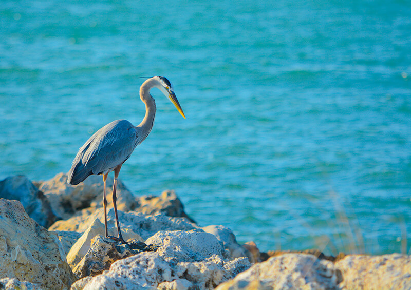  Sand Key Park 