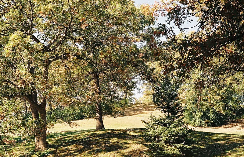 Theodore Wirth Regional Park