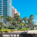 fun things to do in Clearwater