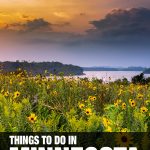 fun things to do in Minnesota