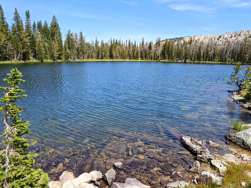 Goodwin Lake Trail